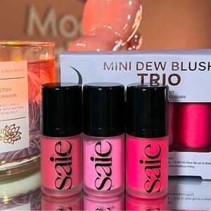 Saie Mini Dew Blush Trio NWT